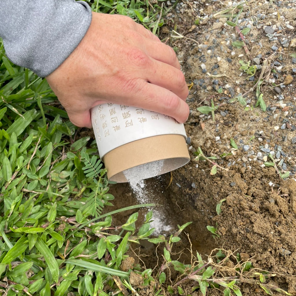 骨灰安置